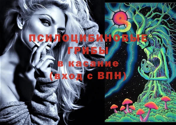 СК Абаза