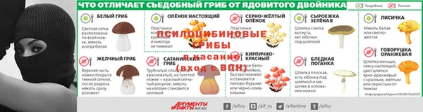 индика Абдулино