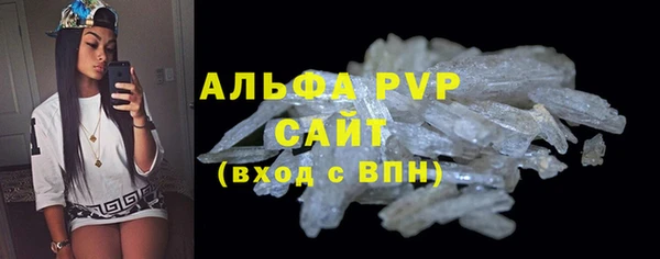 индика Алексин