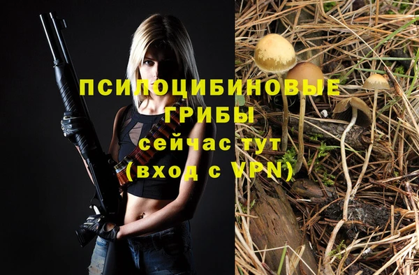 jwh Алзамай