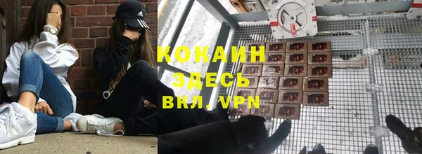 индика Алексин
