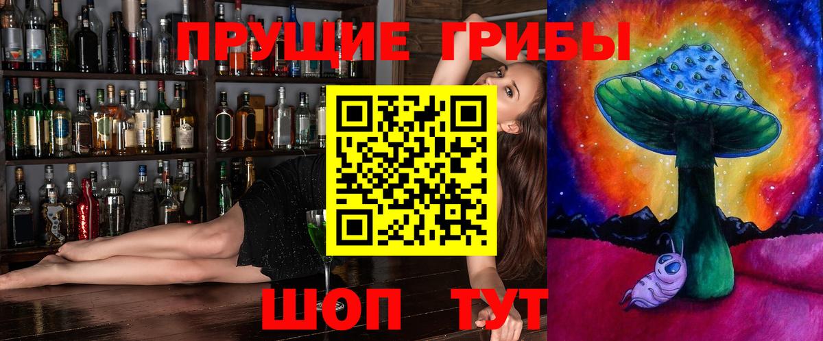 Знаменск  магазин    Вход с VPN  Псилоцибиновые грибы GOLDEN TEACHER 