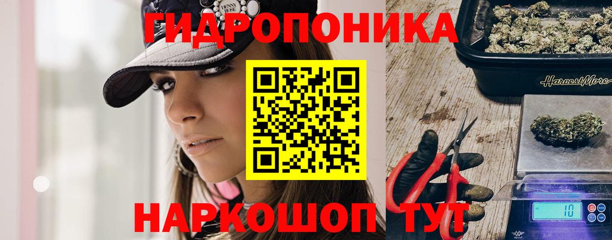 Знаменск  Каннабис SATIVA & INDICA  Вход с VPN  Каннабис гибрид  Бошки Шишки OG Kush 